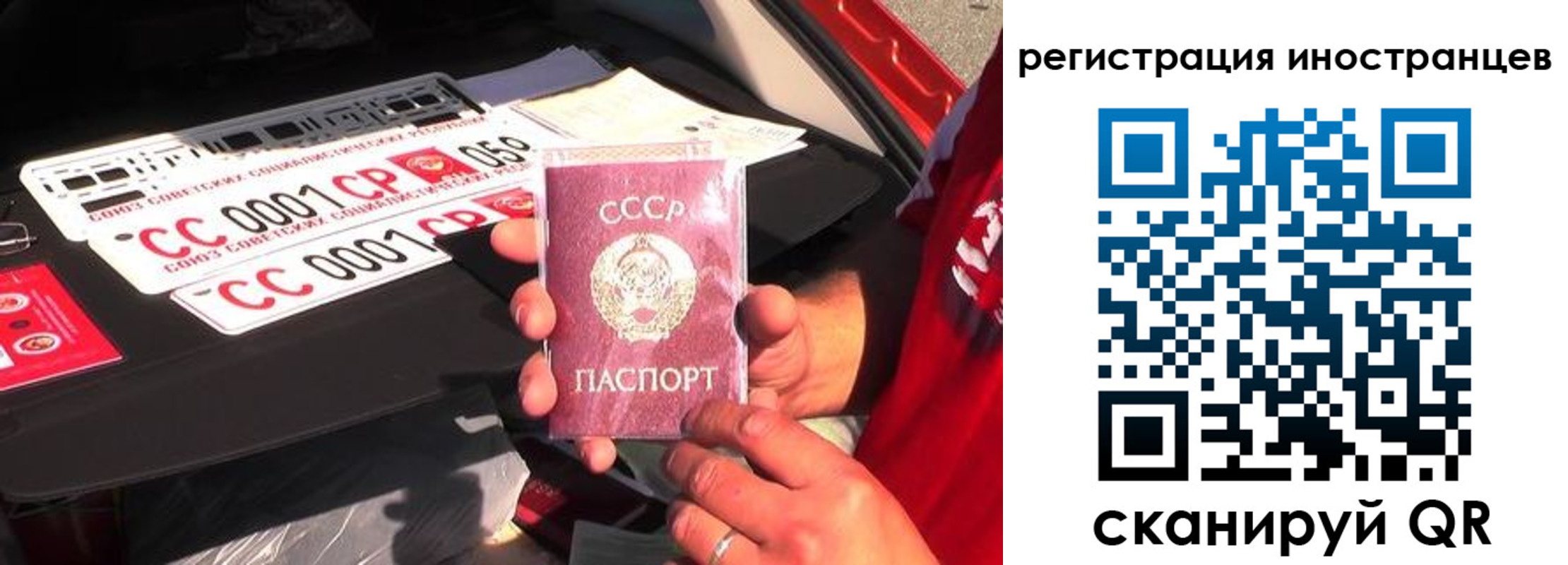 прописка гарантия в Стародубе